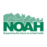 noah logo
