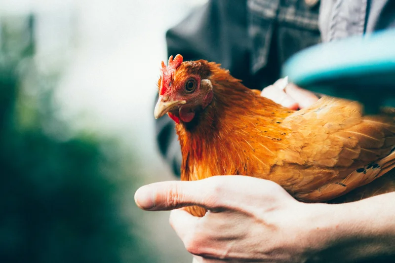 Photo by Sarah Halliday on Unsplash